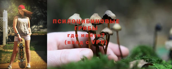 мяу мяу мука Карталы