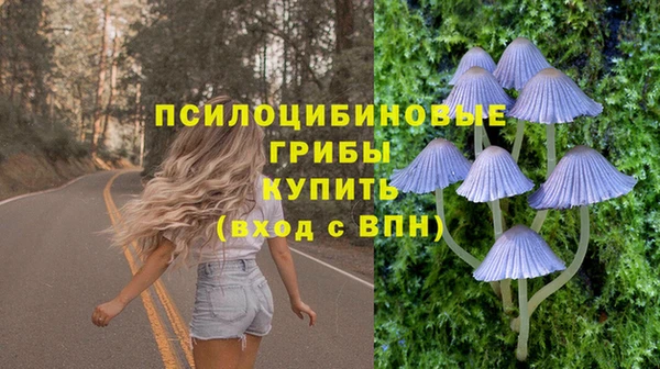 мяу мяу мука Карталы