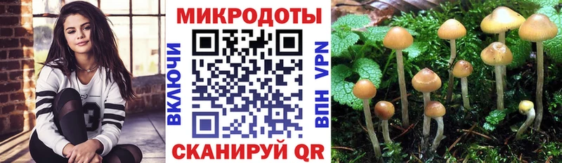Купить где  Мегион  Псилоцибиновые грибы Psilocybe 